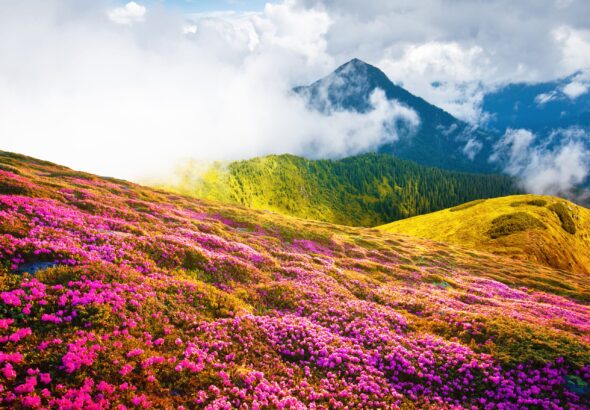Gunma Prefecture Air Quality